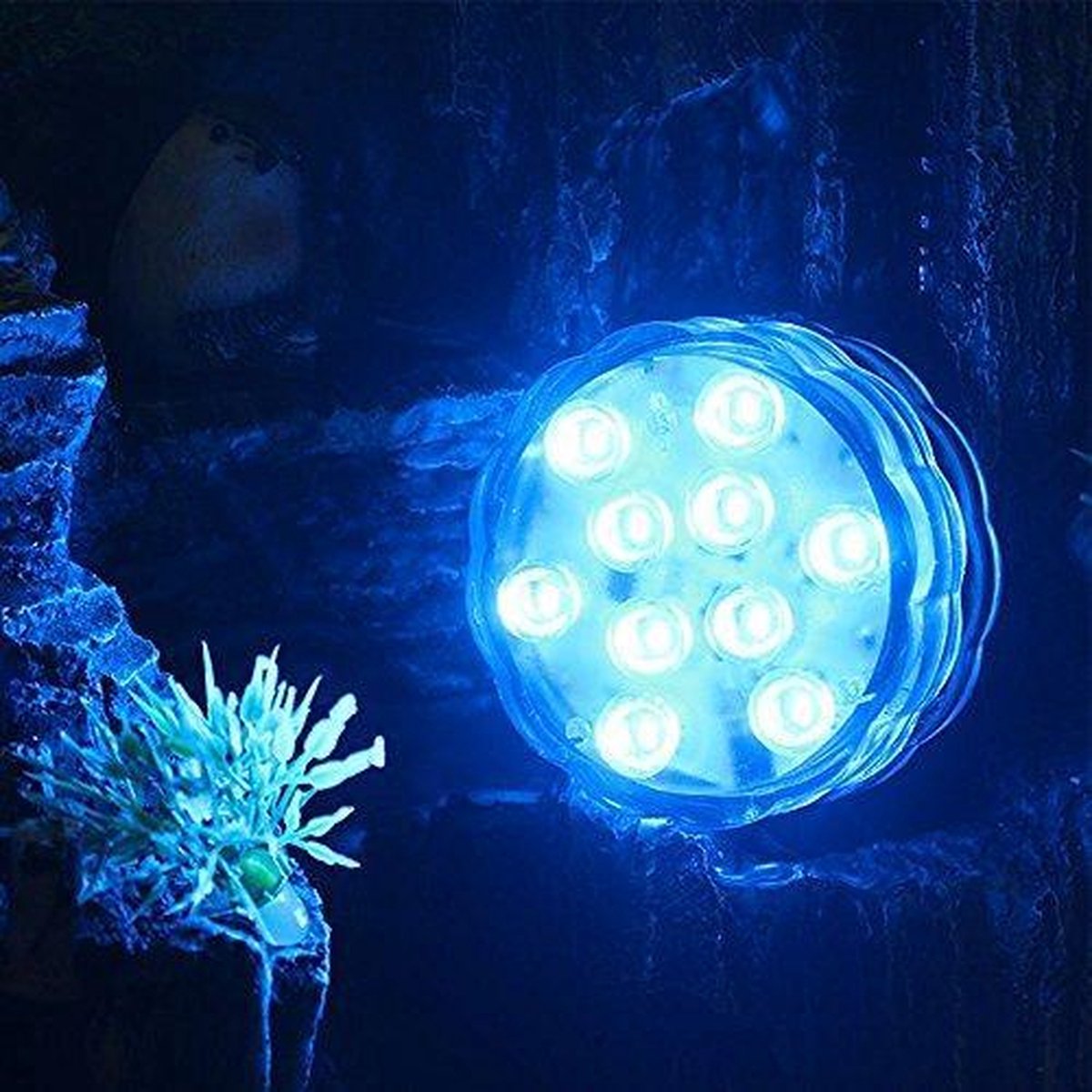 Planten Verlichting - Waterdichte LED's voor tuinplanten - op Batterijen - Perfect voor Vaasverlichting en Tuin Decoratie - Tuinplanten Verlichten - Waterdichte LED's voor Buiten en binnen gebruik