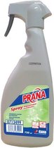 Tana PRANA spray ontvettende spray met bleekwater - 750ml