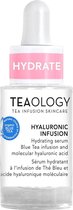 Vochtinbrengende Serum Teaology Hyaluronic Infusion (15 ml)