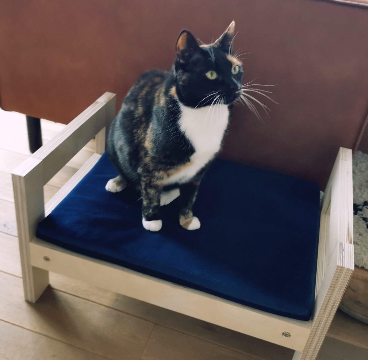 Kattenmand - houten kattenbed design met matrasje Cat and Wood | bol.com