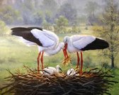 Diamond Painting - Volwassenen - Complete set - Vogels - Ooievaars - 30 x 40 cm