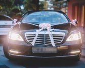 PAULIN Trouwauto Versiering - Bruiloft Autodecoratie - Haartje met Linten - Bloemen  voor op de Motorkap - Auto Versiering Huwelijk - Bruidsauto Decoratie AUTODECO.NL