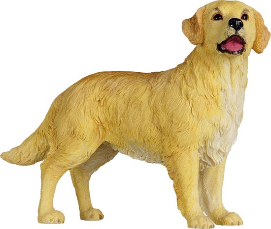 Golden Retriever Hond (Dog), hondenbeeldje, figuur | bol.com