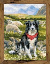 RIOLIS Border Collie borduren (pakket)