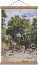 Schoolplaat – Giraffen en Zebra's in de Natuur - 40x60cm Foto op Textielposter (Wanddecoratie op Schoolplaat)