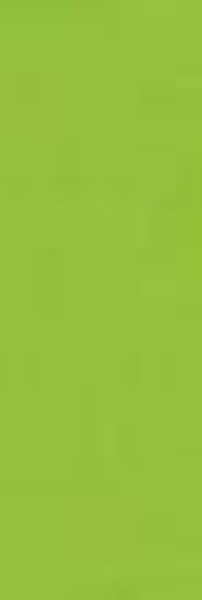 Folia Fotokarton licht groen 50X70-300G