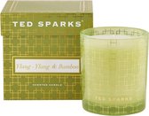 Ted Sparks - Geurkaars Demi - 60 Branduren - 1 Lont - Luxe Verpakking - Ylang-Ylang & Bamboo