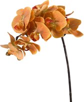 Viv! Home Luxuries Orchidee Phalaenopsis - zijden bloem - geel - 70cm - topkwaliteit