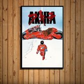 Akira Poster 8 - 60x90cm Canvas - Multi-color
