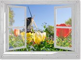 tuinposter - 90x65 cm - doorkijk wit venster Hollandse tulpen - tuindecoratie - tuindoek - tuin decoratie - tuinposters buiten - tuinschilderij