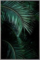 JUNIQE - Poster met kunststof lijst Palmbladeren -40x60 /Groen & Zwart