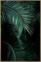 JUNIQE - Poster met kunststof lijst Palmbladeren -60x90 /Groen & Zwart