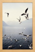 JUNIQE - Poster met houten lijst Meeuwen foto -13x18 /Blauw & Wit