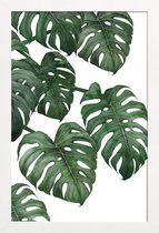 JUNIQE - Poster in houten lijst Monstera plant -60x90 /Groen & Wit