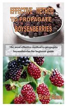 Effective Method to Propagate Boysenberries