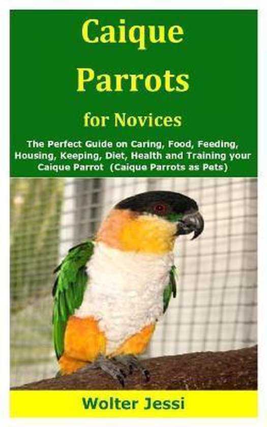 Caique Parrots for Novices