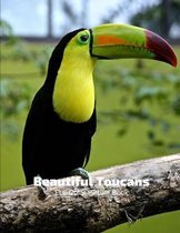 Beautiful Toucans Full-Color Picture Book