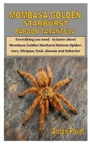 Mombasa Golden Starburst Baboon Tarantula: Everything you need to know about Mombasa Golden Starburst Baboon Spider