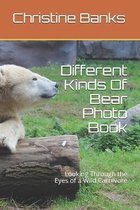 Different Kinds Of Bear Photo Book