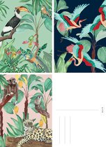 &INK Wenskaarten set - 15 Stuks - Botanisch - Vogels
