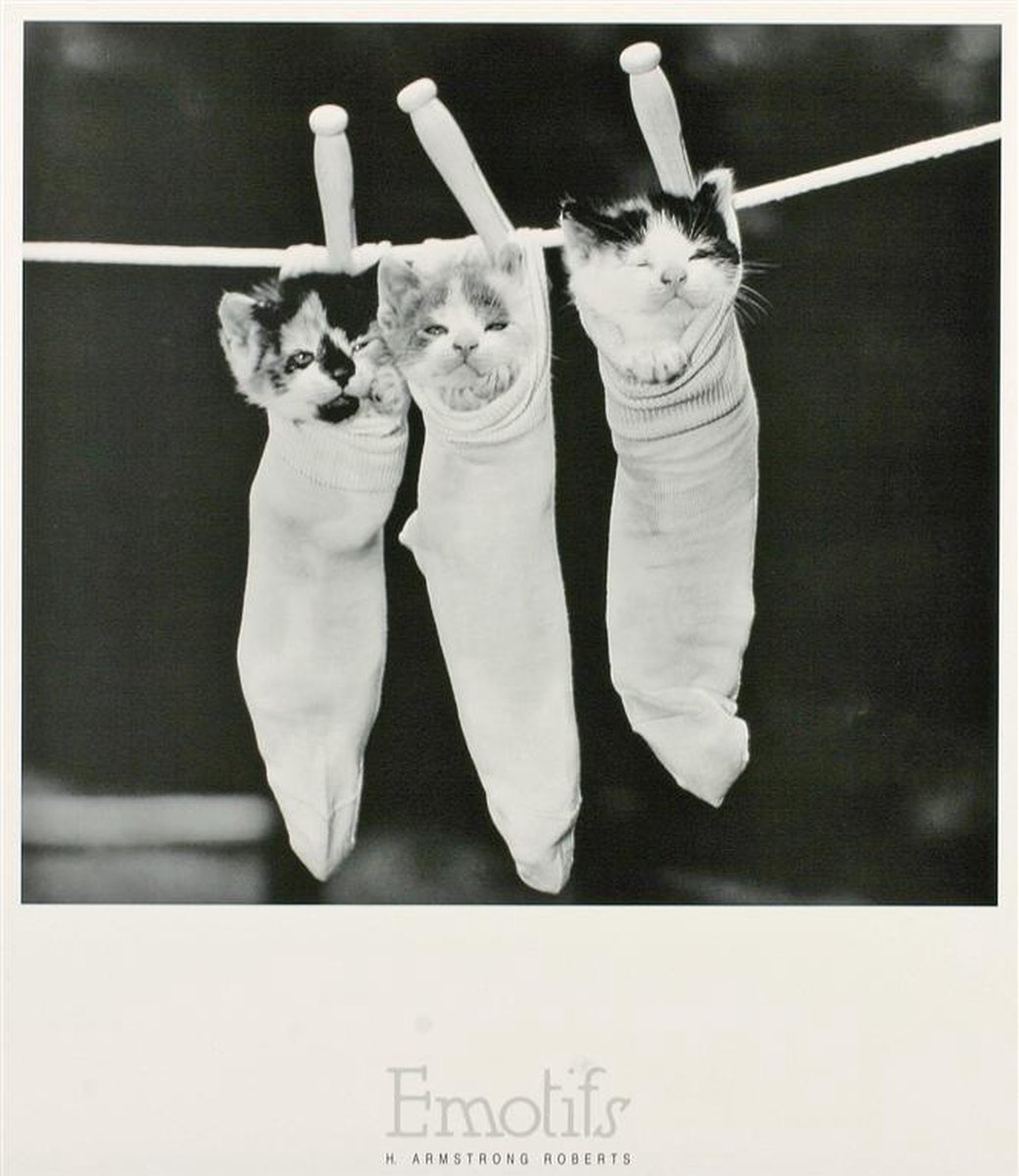 Catch Projecten Poster - Pin-Ups - H. Armstrong Roberts - Zwart/Wit - Fotografie - Jaren 80