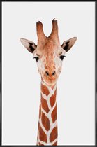 JUNIQE - Poster met kunststof lijst Giraffe -13x18 /Bruin & Wit