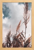 JUNIQE - Poster in houten lijst Grass I -20x30 /Bruin & Wit