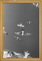 JUNIQE - Poster met houten lijst Soaring Birds -40x60 /Grijs & Wit