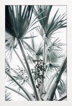 JUNIQE - Poster met houten lijst Beach Palm Fruits -13x18 /Grijs &