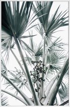 JUNIQE - Poster in kunststof lijst Beach Palm Fruits -40x60 /Grijs &