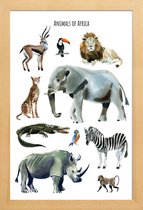 JUNIQE - Poster in houten lijst Animals of Africa -60x90 /Bruin &