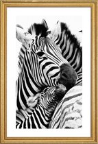 JUNIQE - Poster met houten lijst Zebras -13x18 /Wit & Zwart