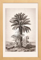 JUNIQE - Poster in houten lijst Sago Palm -30x45 /Grijs & Ivoor