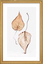 JUNIQE - Poster met houten lijst Delicate Leaves -40x60 /Bruin & Groen