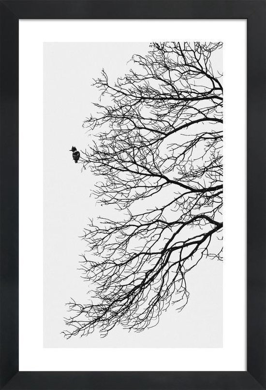 JUNIQE - Poster in houten lijst Winter Bird -20x30 /Grijs & Wit
