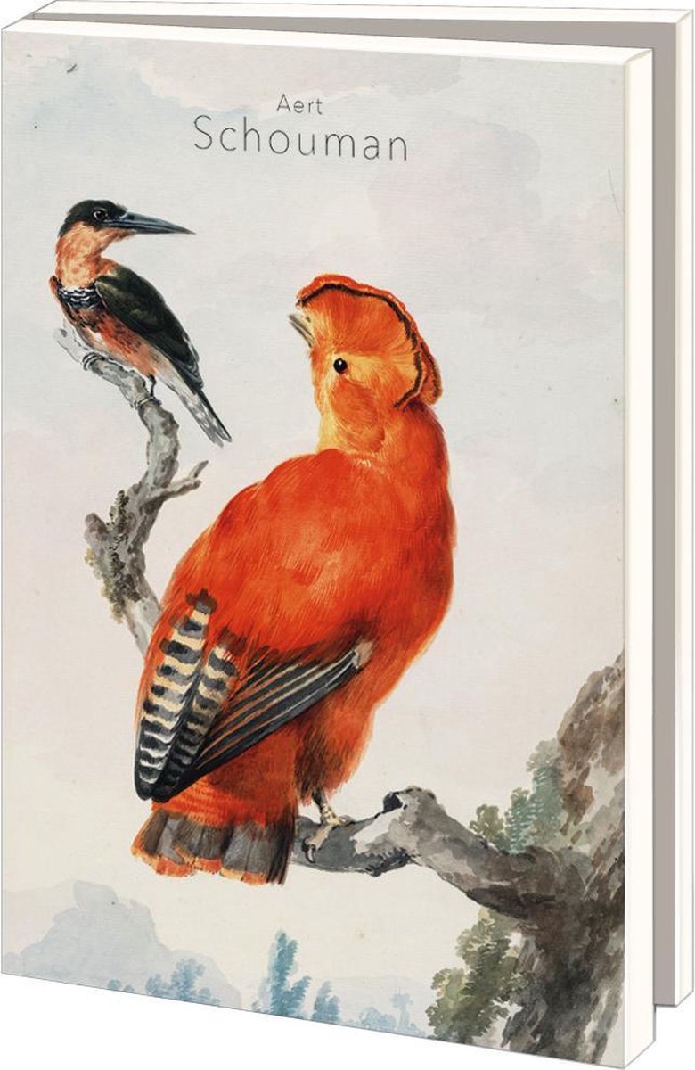 Bekking & Blitz - Wenskaartenmapje - Set wenskaarten - Kunstkaarten - Museumkaarten - Uniek design - Dieren - Vogels - 10 stuks - Inclusief enveloppe - Aert Schouman - Teylers Museum Haarlem