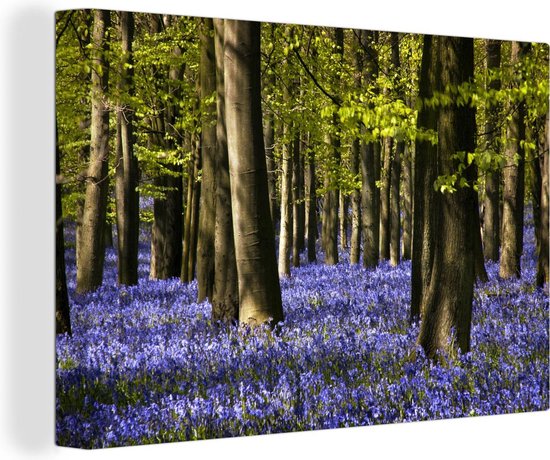 Canvas Schilderij Tussen de bomen liggen paarse bloemen van de sterhyacint - 90x60 cm - Wanddecoratie