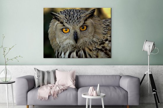 Photo d'une toile européenne hibou grand-duc d'Asie 160x120 cm - Tirage photo sur toile (Décoration murale salon / chambre) XXL / Groot format!