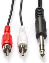 Tulp naar jack 6.35 mm kabel - 2 meter (Stereo)