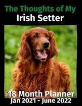 The Thoughts of My Irish Setter