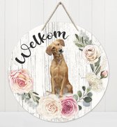 Welkom - labrador blond | Muurdecoratie - Bordje Hond