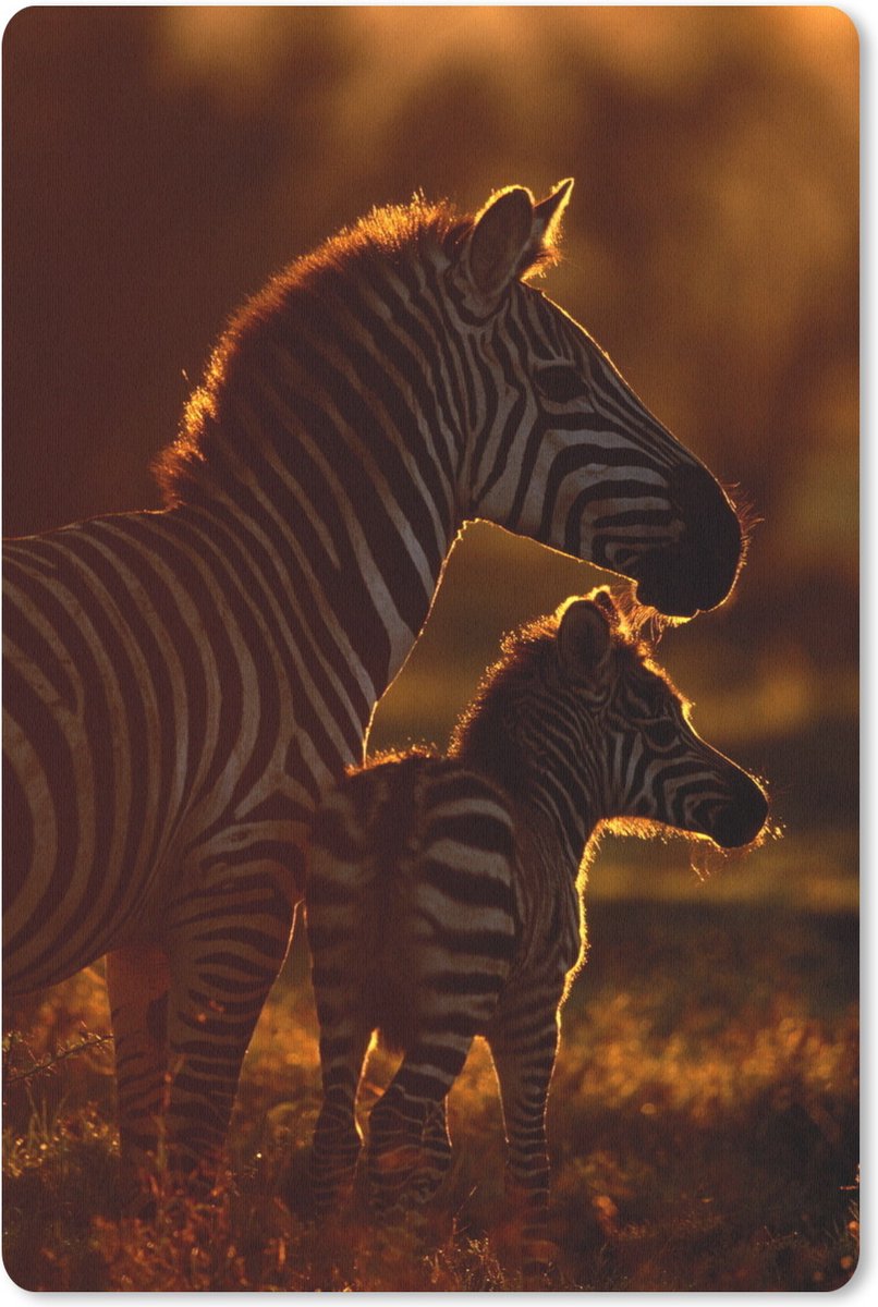 Muismat Dierenfamilies - Zebra met jong muismat rubber - 18x27 cm - Muismat met foto