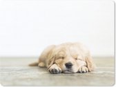 Muismat Groot - Een portret van een slapende puppy - 40x30 cm - Mousepad - Muismat