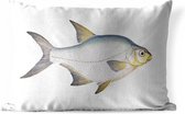 Buitenkussens - Tuin - Kolblei vis op een witte achtergrond - 50x30 cm