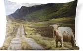 Buitenkussens - Tuin - Schots landschap met Schotse hooglander - 60x40 cm