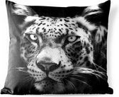 Buitenkussens - Tuin - Close-up Perzisch luipaard tegen zwarte achtergrond in zwart-wit - 60x60 cm