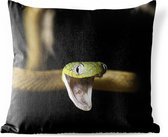 Buitenkussens - Tuin - Portret van een slang op een zwarte achtergrond - 60x60 cm