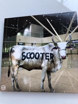 Scooter behind the cow cd-single