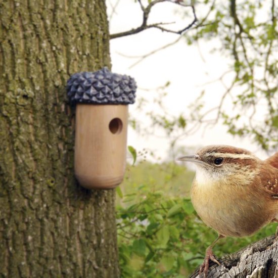 Houten vogelhuisje in de vorm van een eikel, bevestigd aan een boom. Een winterkoning zit op een tak ernaast.