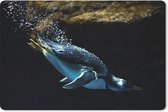 Muismat - Mousepad - Een pinguïn zwemt in het donkere water - 27x18 cm